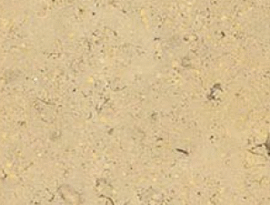 sainai pearl Yellow